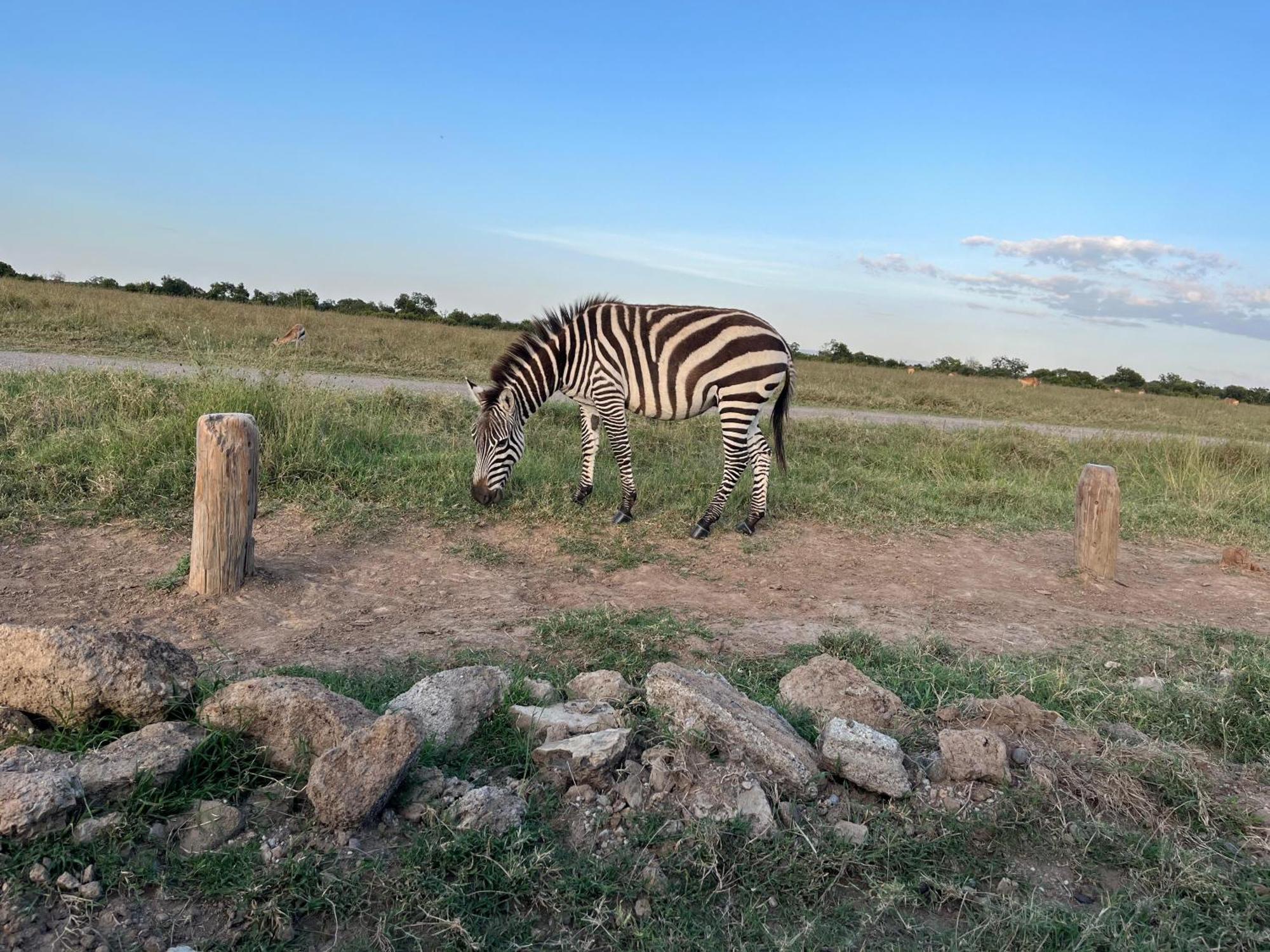 Rafiki House Hotel Nanyuki Luaran gambar